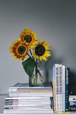 kaboompics_Sunflowers and books.jpg